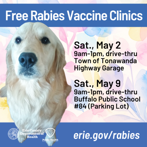 Golden retriever dog on a background of pastel graphic flowers, with dates for Erie County's free rabies vaccine clinics on Saturday, May 2, 2026 at the Town of Tonawanda Highway Garage and Saturday, May 9, 2026 at the Buffalo Public School #84