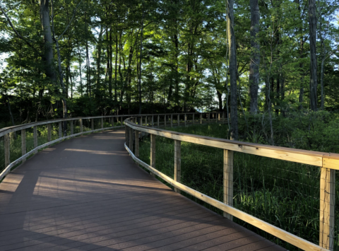 Boardwalk at Wendt Beach, Angola, NY