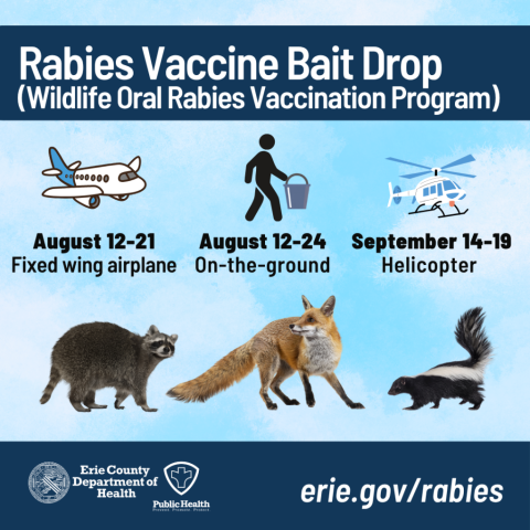 Erie County rabies vaccine bait drop August 12-21 by airplane, August 12-24 by ground, September 14-19 by helicopter