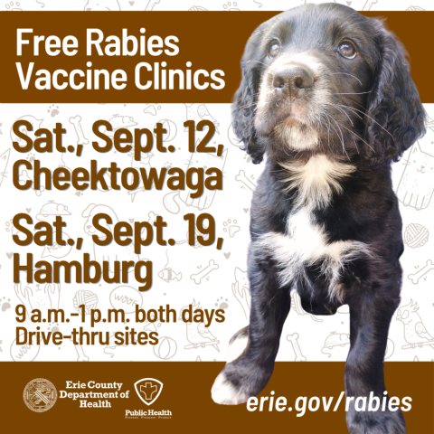 Spangold puppy on a background of pet-themed icons with text, Free Rabies Vaccine Clinics, Sat., Sept 12 in Cheektowaga and Sat., Sept. 19 in Hamburg. More info at erie.gov/rabies