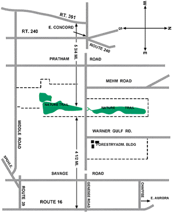 forestry_map