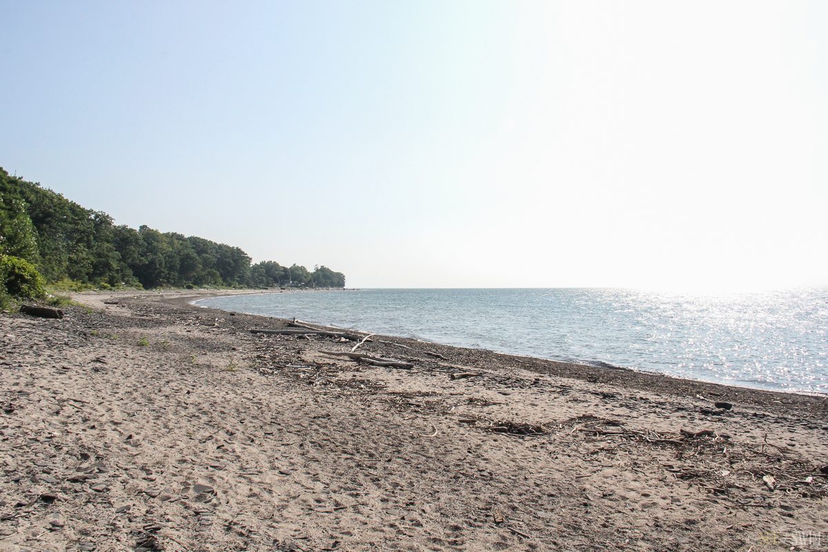 wendt-beach
