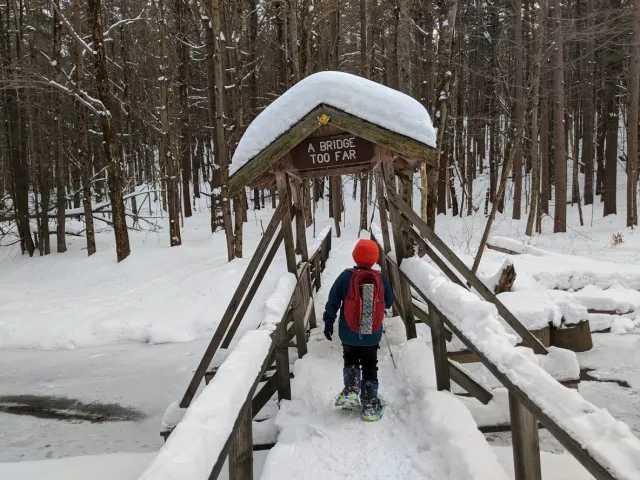Forestry Bridge