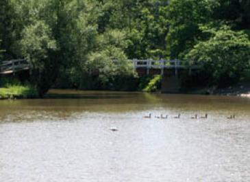 ellicott_creek1