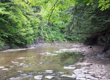 hunters-creek