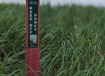 Dune sign