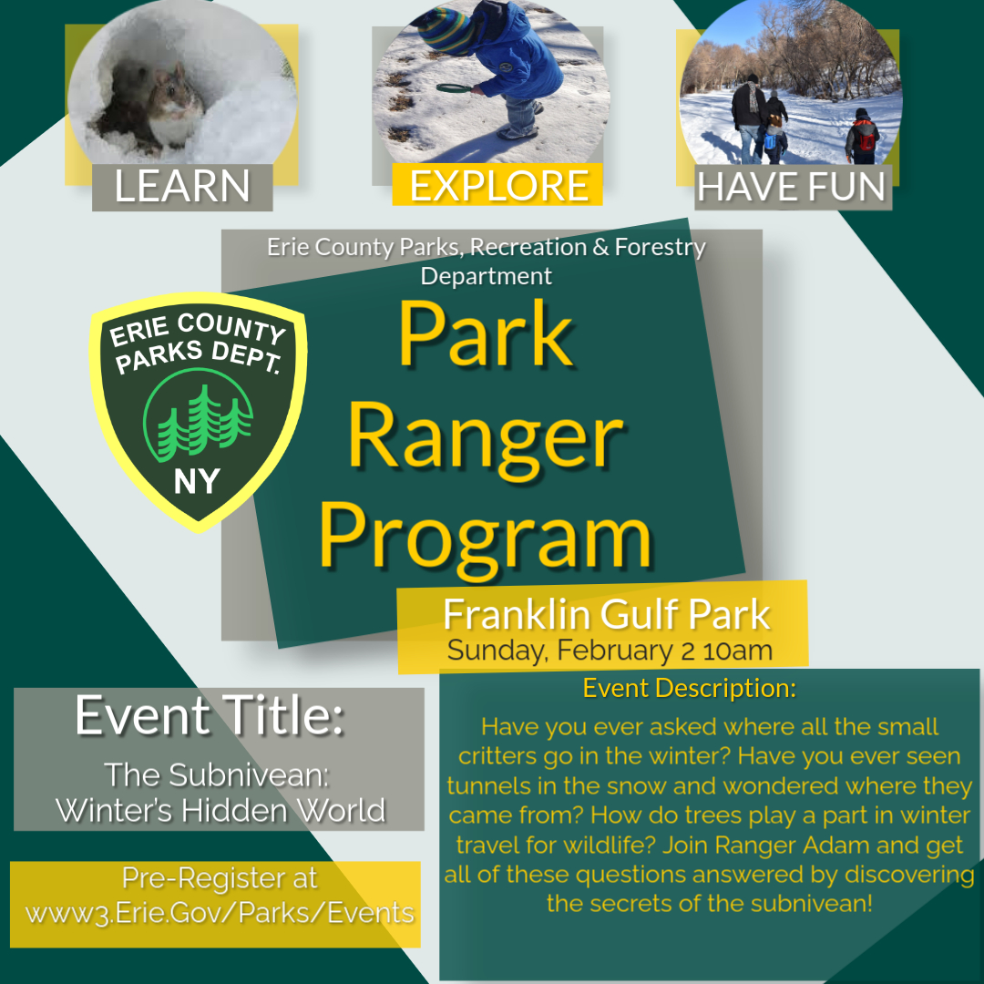 The Subnivean: Winter’s Hidden World 2/2/25