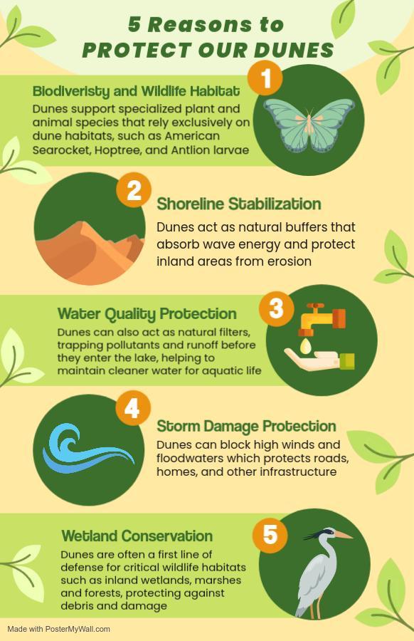 5 reasons to protect the sand dunes 