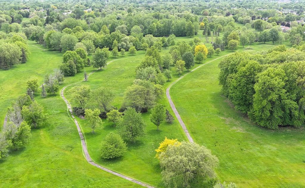 Overhead photo of Willowdale Park