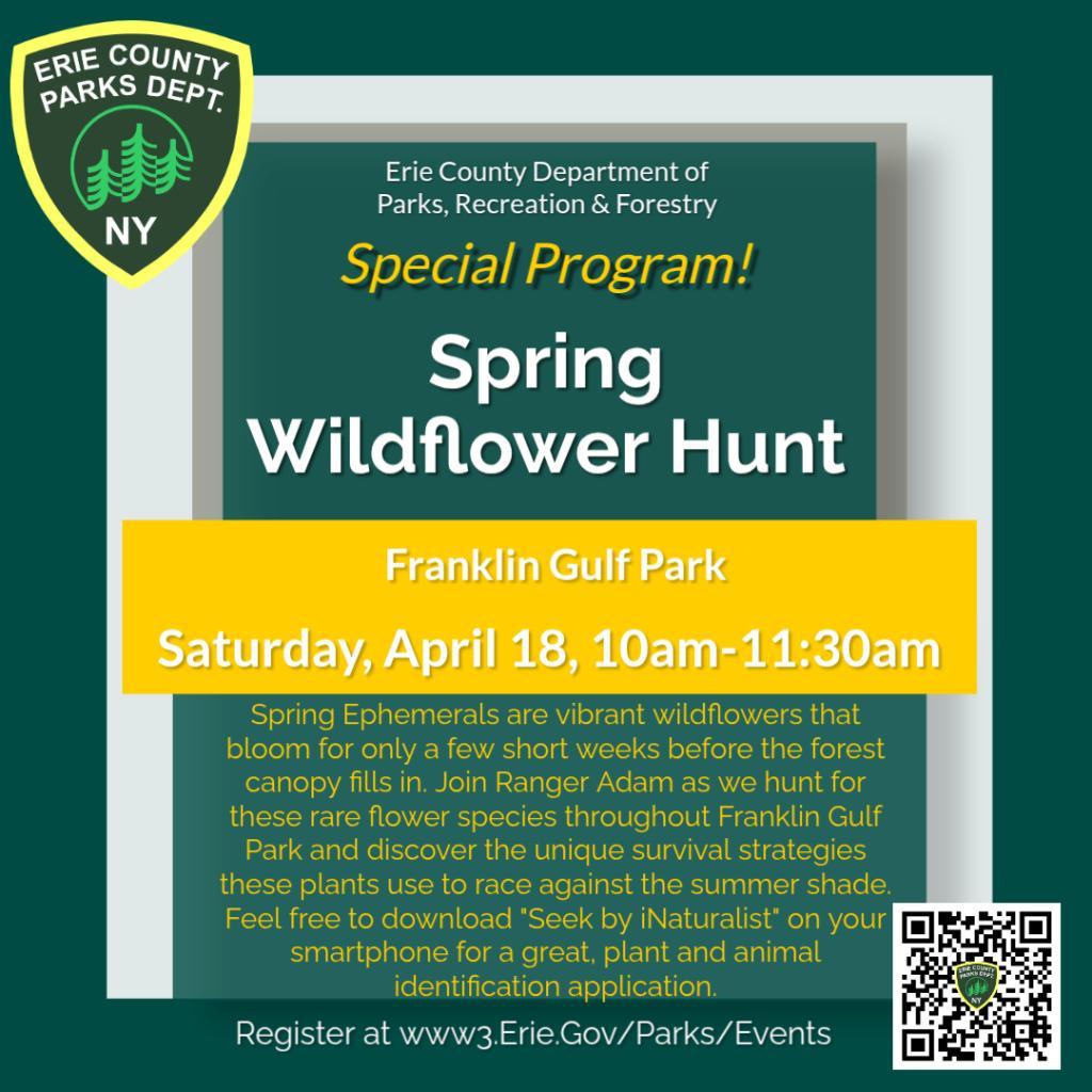 Spring Wildflower Hunt