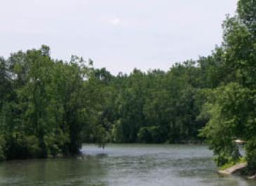 ellicott_creek2