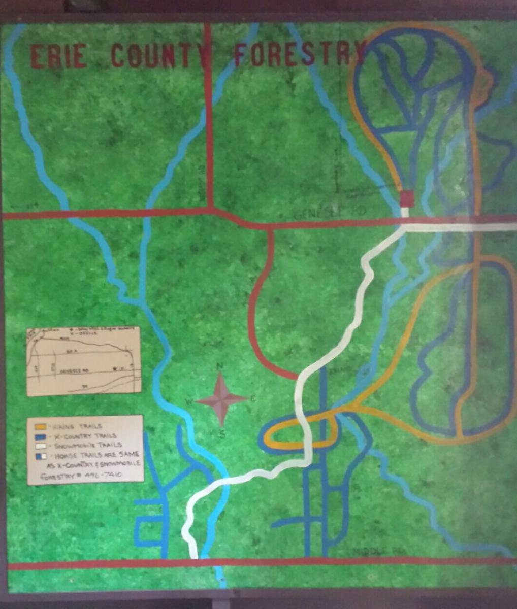 forestry map 2