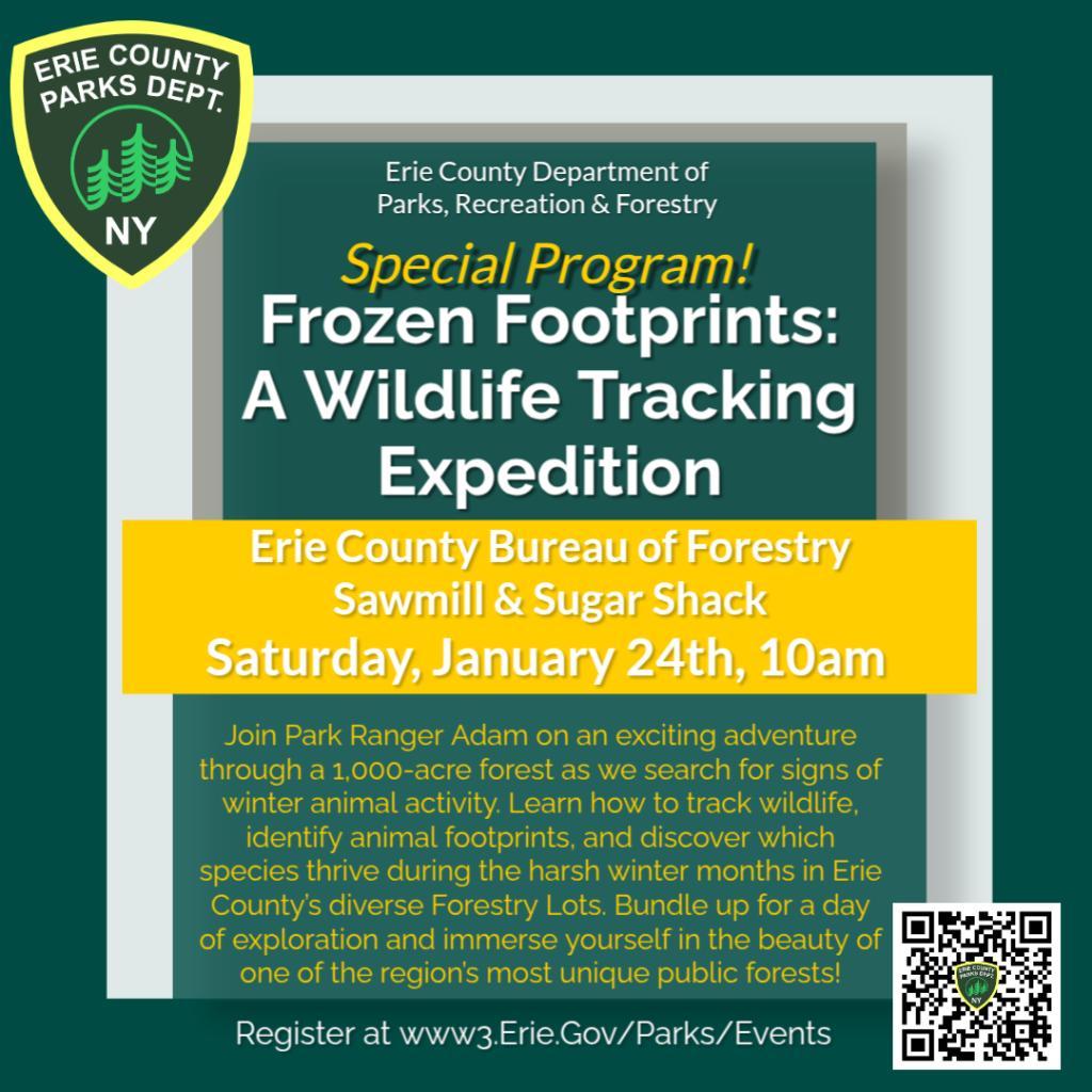 Frozen Footprints: A Wildlife Tracking Expedition