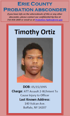 Ortiz, Timothy