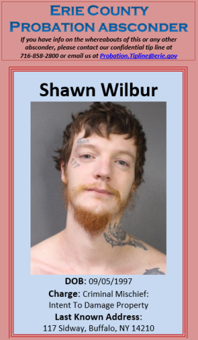 Wilbur, Shawn P