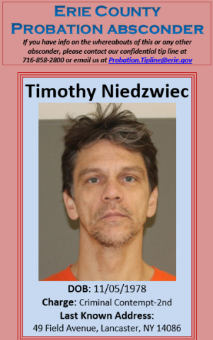 Niedzwiec, Timothy