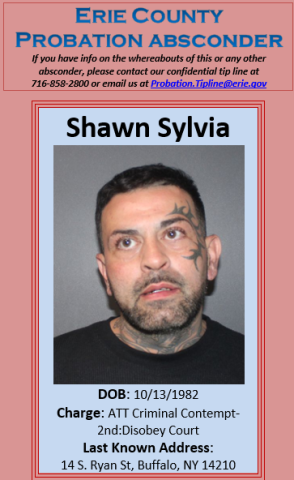 Sylvia, Shawn