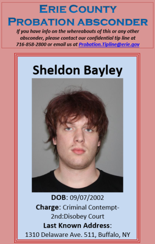 Bayley, Shelldon