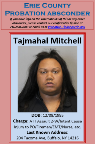 Absconder Tajmahal Mitchell