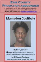 Coulibaly, Mamadou