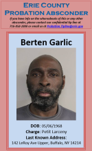 Garlic, Berten
