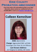 kemnitzer, colleen