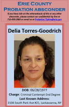 Torres-Goodrich, Delia