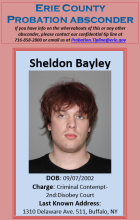 Bayley, Shelldon