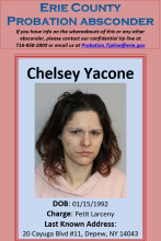 Absconder Chelsey Yacone