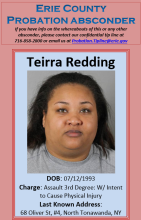 Probation Absconder Tierra Redding