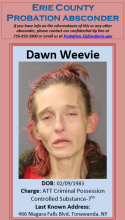 Absconder Dawn Weevie