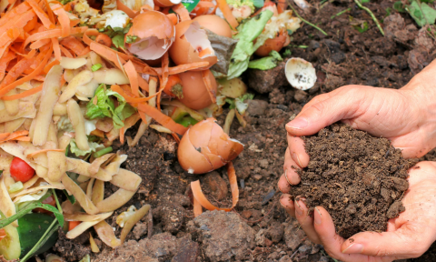 Composting Feature Card