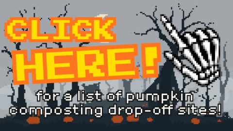 click here for a list of pumpkin composting drop off sites
