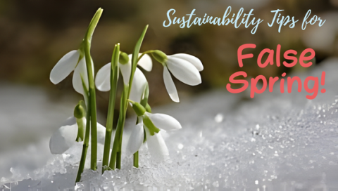 Spring 2026 Recycle Holiday Page 2